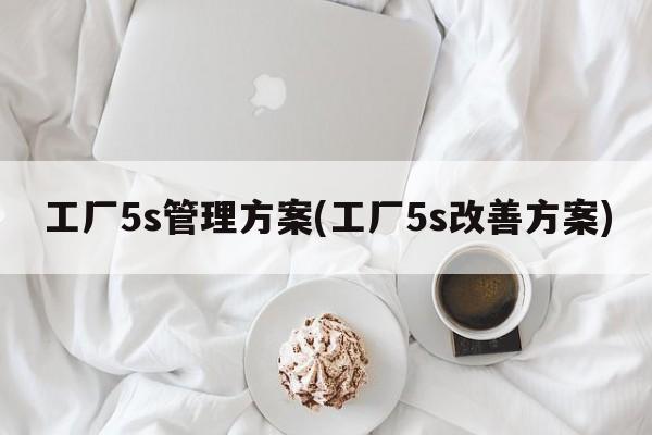 工厂5s管理方案(工厂5s改善方案)